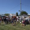 Boeren en Paarden dag 2018