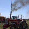 Boeren en Paarden dag 2018