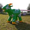 Boeren en Paarden dag 2017