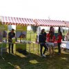 Boeren en Paarden dag 2017