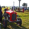Boeren en Paarden dag 2017