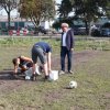 Boeren en Paarden dag 2017