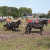 Boeren en Paarden dag 2017