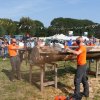 Boeren en Paarden dag 2017