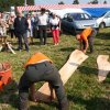 Boeren en Paarden dag 2017