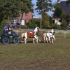 Boeren en Paarden dag 2017