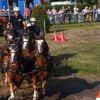 Boeren en Paarden dag 2017