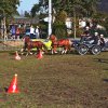 Boeren en Paarden dag 2017