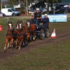 Boeren en Paarden dag 2017