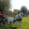 Boeren en Paarden dag 2017