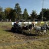 Boeren en Paarden dag 2017